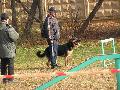 
img-041.jpg							