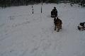 
IMG_0202_resize.JPG							