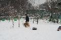 
IMG_0209_resize.JPG							