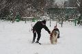 
IMG_0211_resize.JPG							