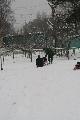 
IMG_0215_resize.JPG							