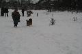 
IMG_0221_resize.JPG							