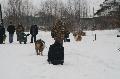 
IMG_0232_resize.JPG							