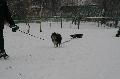 
IMG_0235_resize.JPG							