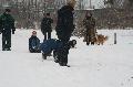 
IMG_0237_resize.JPG							