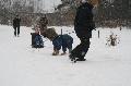 
IMG_0238_resize.JPG							