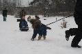 
IMG_0239_resize.JPG							