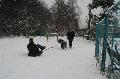 
IMG_0240_resize.JPG							