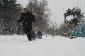 
IMG_0242_resize.JPG							