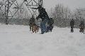 
IMG_0244_resize.JPG							