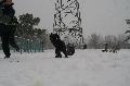
IMG_0252_resize.JPG							