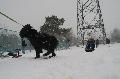 
IMG_0253_resize.JPG							