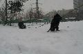 
IMG_0256_resize.JPG							