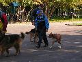 
033.JPG							