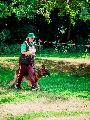 
063.JPG							