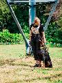 
070.JPG							