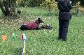
045.JPG							