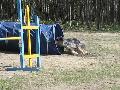 
047.JPG							