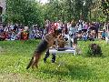 
061.JPG							