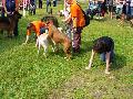 
070.JPG							