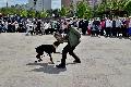 
106.JPG							