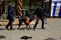 
082.JPG							