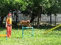 
066.JPG							