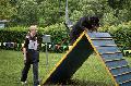 
053.JPG							