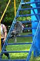
061.JPG							