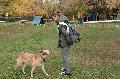 
061.JPG							