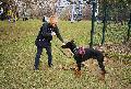 
060.JPG							
