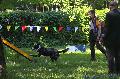 
080.JPG							