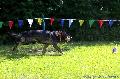 
061.JPG							