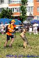 
085.JPG							