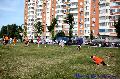 
103.JPG							
