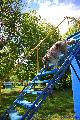 
049.JPG							