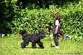 
061.JPG							